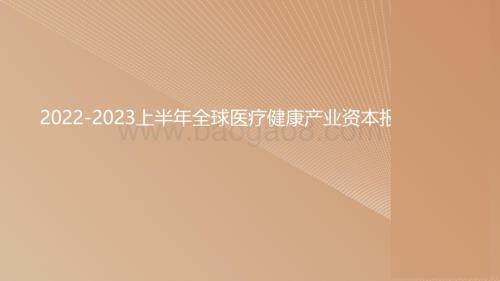 2022-2023上半年全球医疗健康产业资本报告.pdf