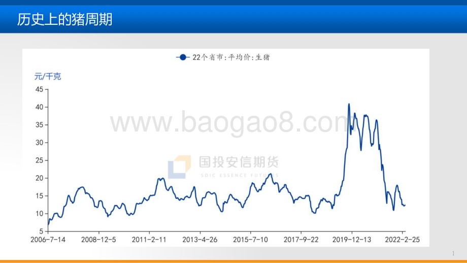 2022-2023生猪市场分析及行情展望研究报告.pptx_第2页
