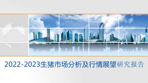 2022-2023生猪市场分析及行情展望研究报告.pptx