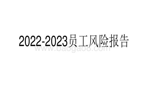 2022-2023员工风险报告.pdf