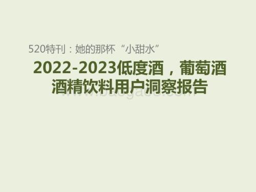 2022-2023低度酒葡萄酒酒精饮料用户洞察报告.pptx