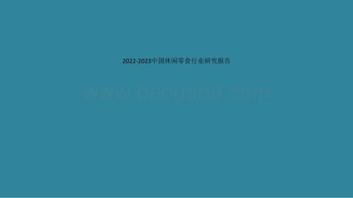 2022-2023中国休闲零食行业研究报告.pptx