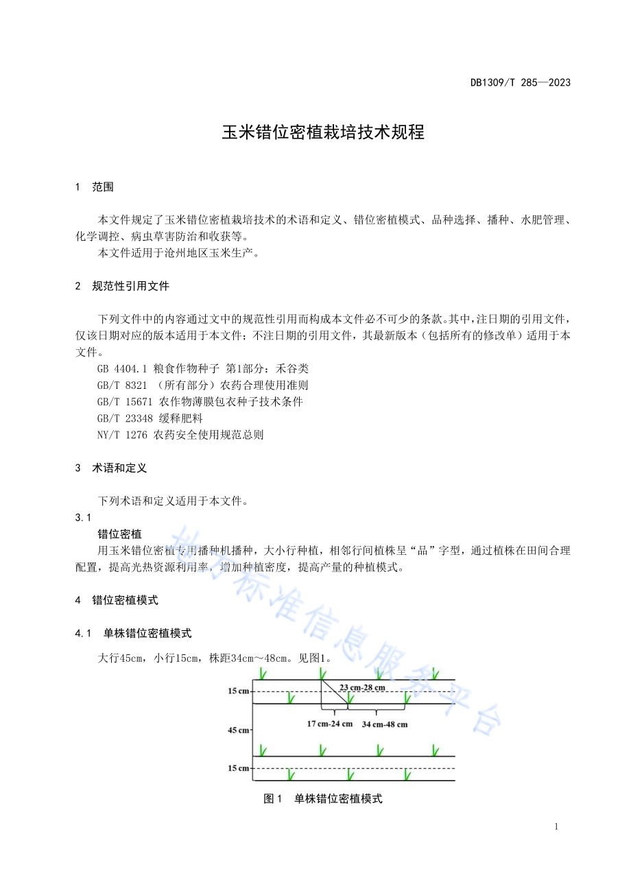 玉米错位密植栽培技术规程DB1309／T 285-2023.pdf_第3页