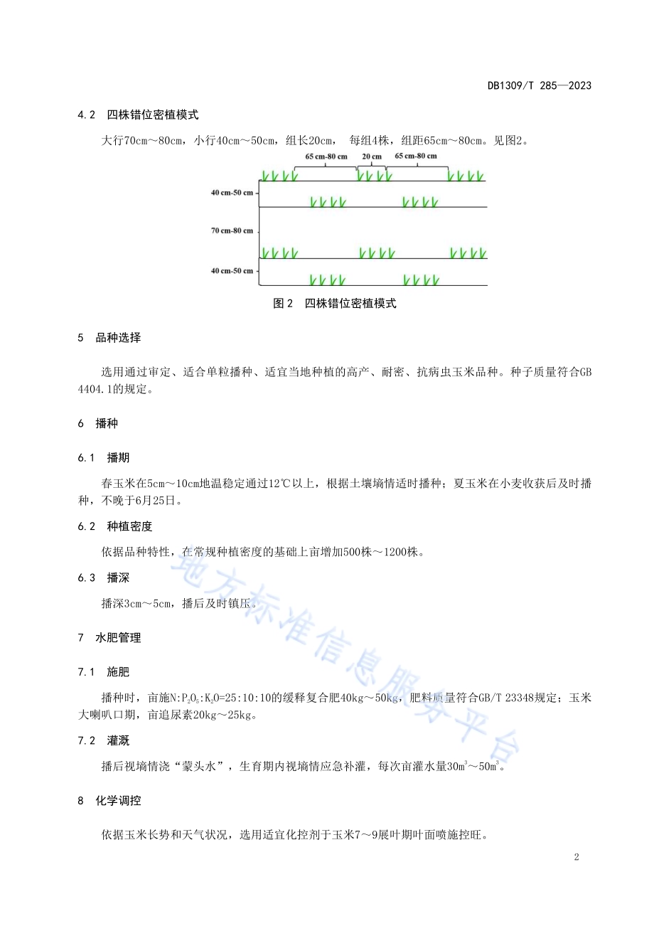 玉米错位密植栽培技术规程DB1309／T 285-2023.pdf_第4页
