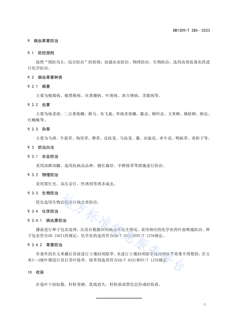 玉米错位密植栽培技术规程DB1309／T 285-2023.pdf_第5页