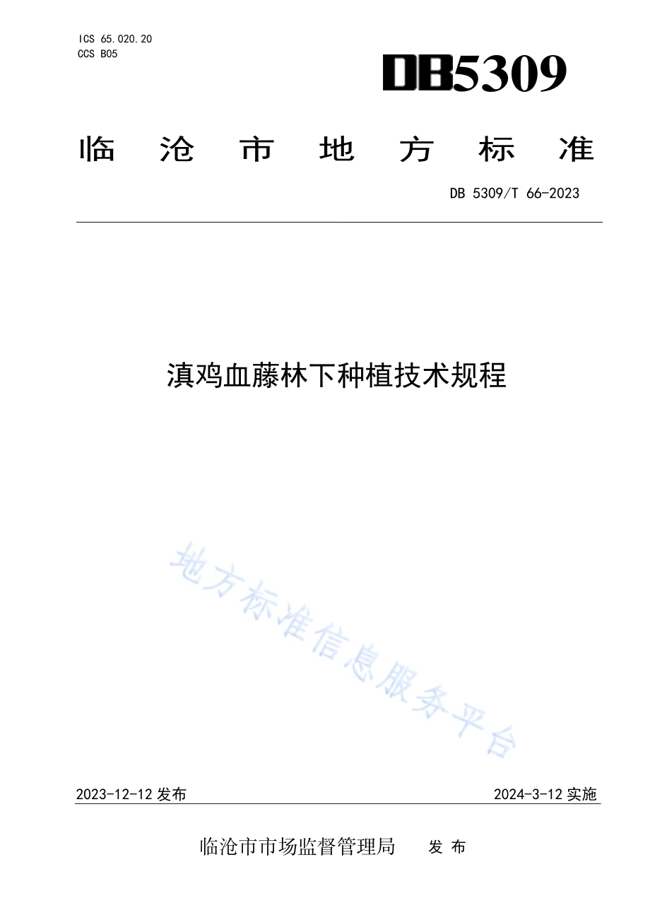 滇鸡血藤林下种植技术规程DB 5309／T 66-2023.pdf_第1页