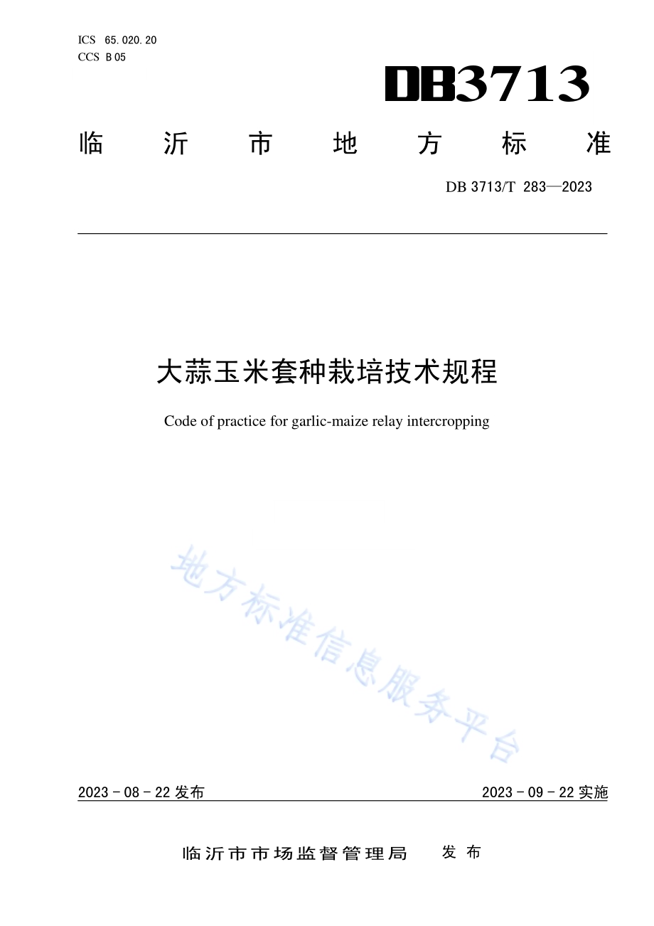 大蒜玉米套种栽培技术规程DB3713／T 283-2023.pdf_第1页