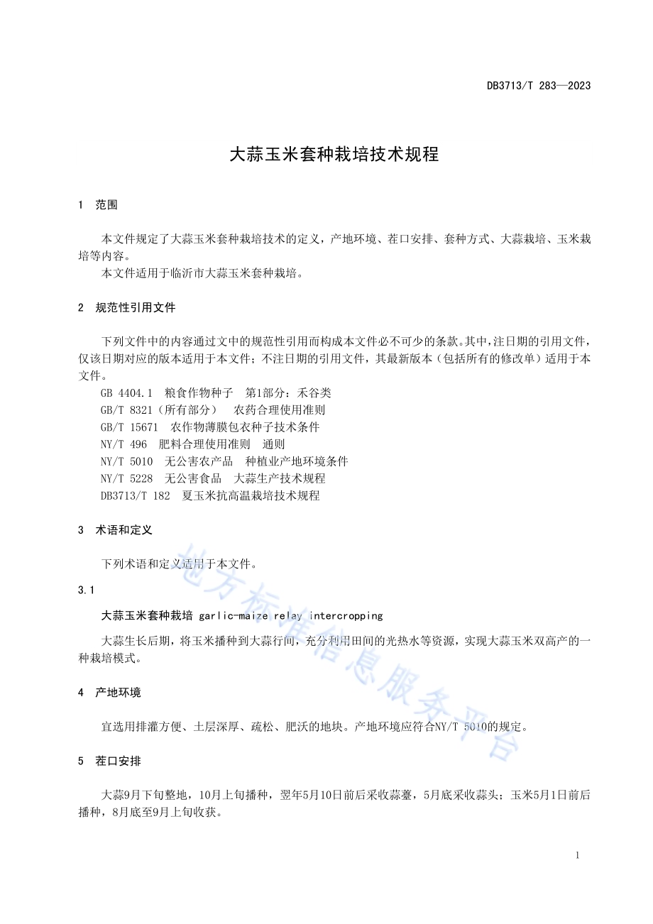 大蒜玉米套种栽培技术规程DB3713／T 283-2023.pdf_第3页