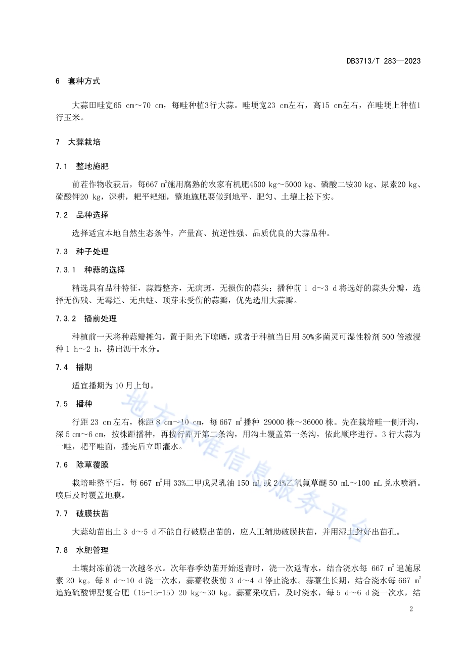 大蒜玉米套种栽培技术规程DB3713／T 283-2023.pdf_第4页