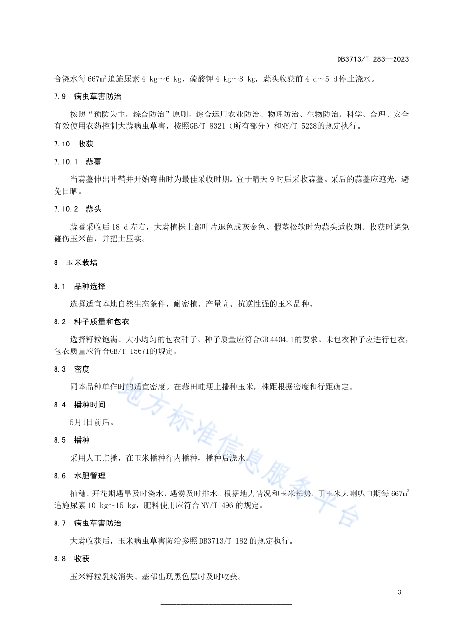 大蒜玉米套种栽培技术规程DB3713／T 283-2023.pdf_第5页