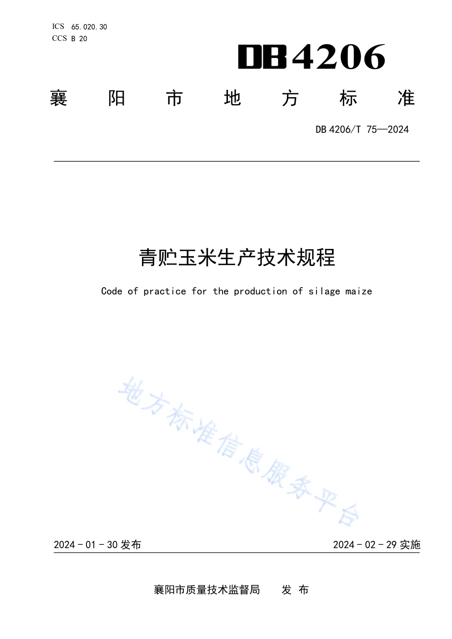 青贮玉米生产技术规程DB4206／T 75-2024.pdf_第1页