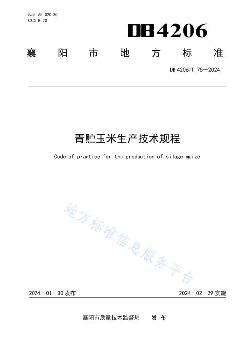 青贮玉米生产技术规程DB4206／T 75-2024.pdf