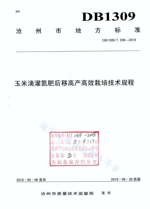 玉米滴灌氮肥后移高产高效栽培技术规程DB1309／T 209-2018.pdf