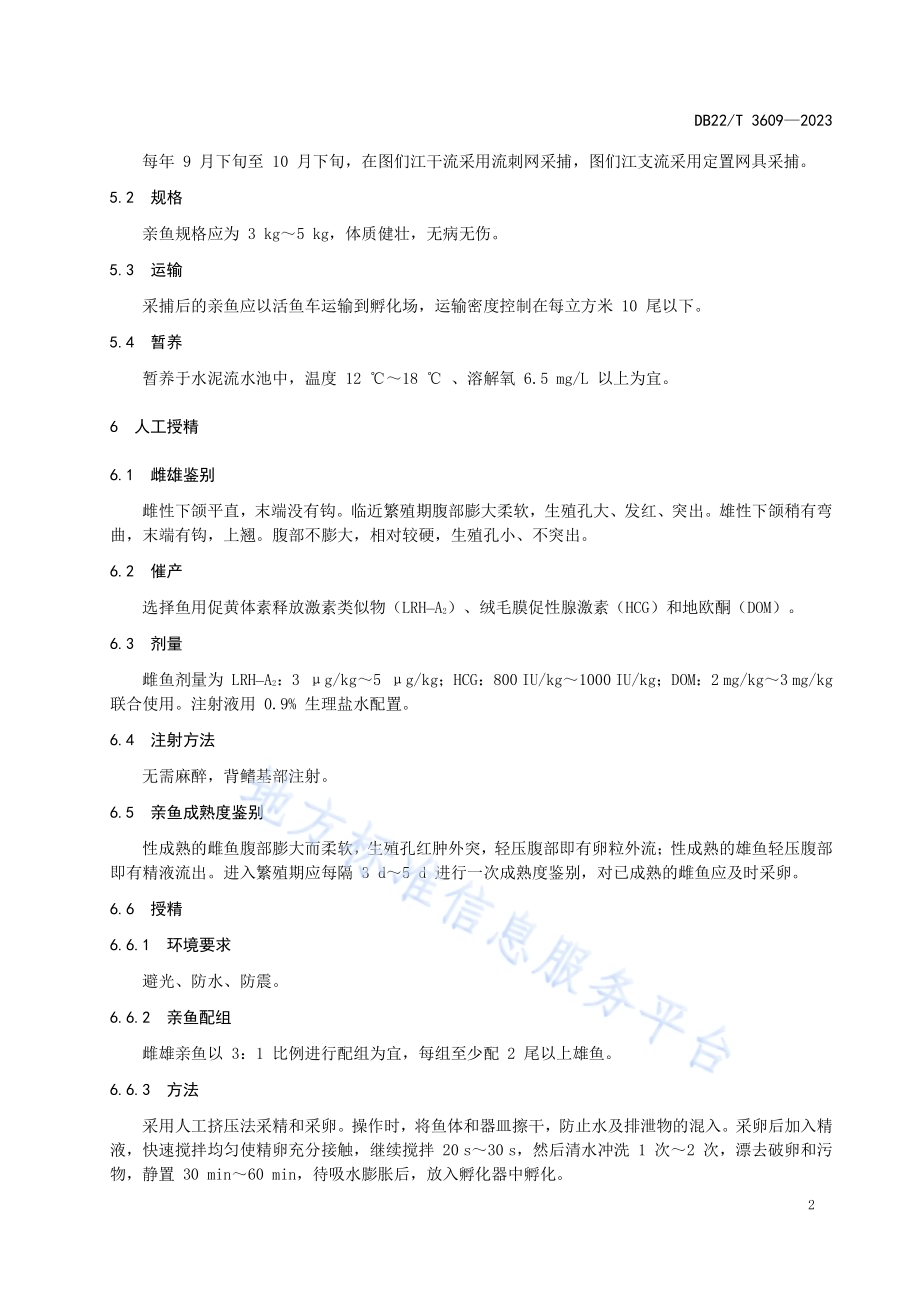 大麻哈鱼人工繁殖技术规范DB22／T 3609-2023.pdf_第4页