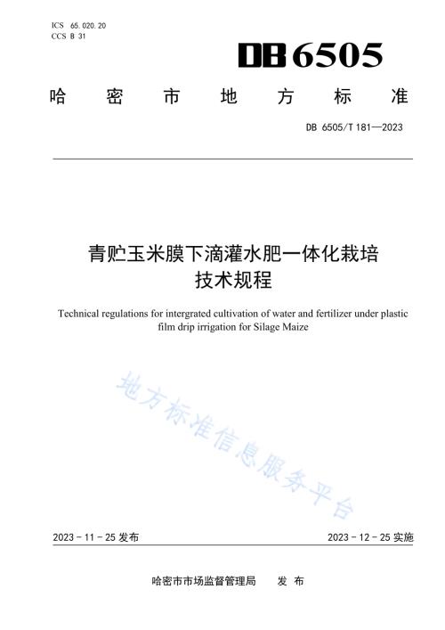 青贮玉米膜下滴灌水肥一体化栽培 技术规程DB 6505／T 181—2023.pdf