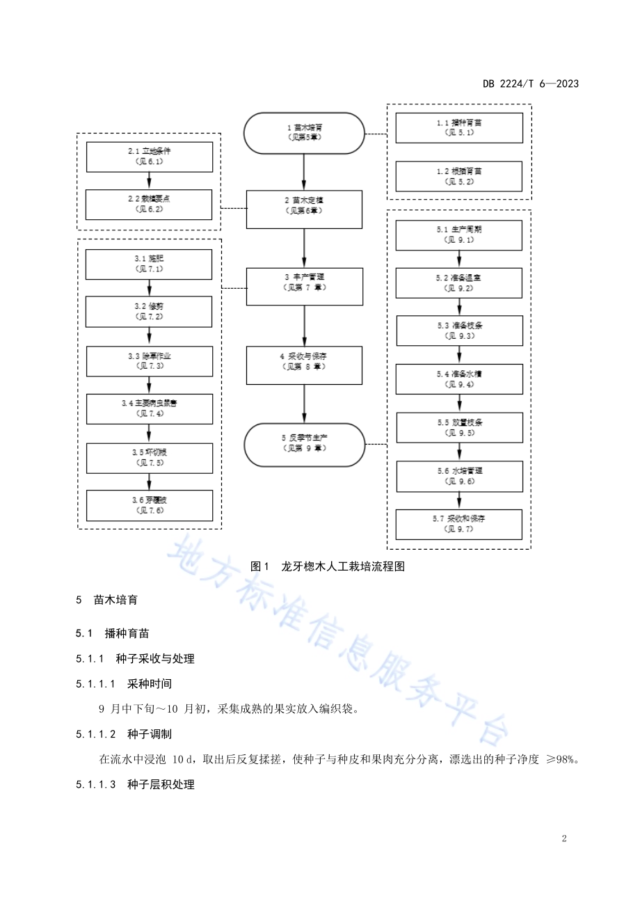 龙牙楤木人工栽培技术规程DB2224／T 6-2023.pdf_第4页