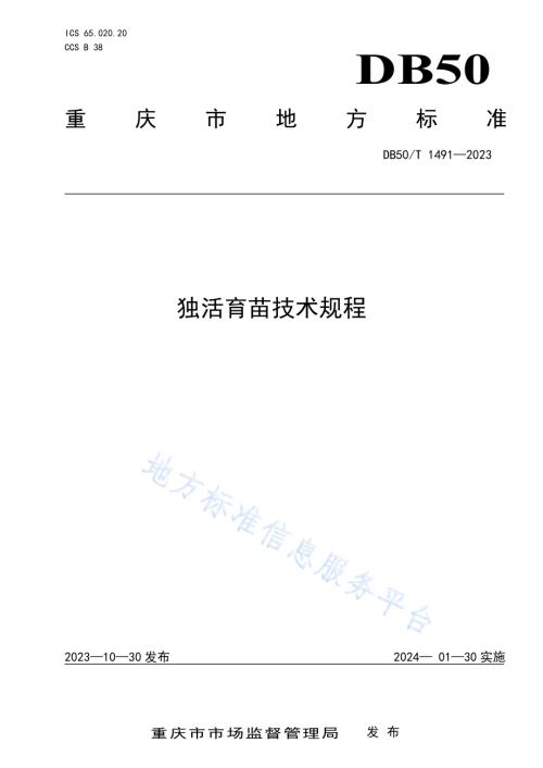 独活育苗技术规程DB50／T 1491-2023.pdf