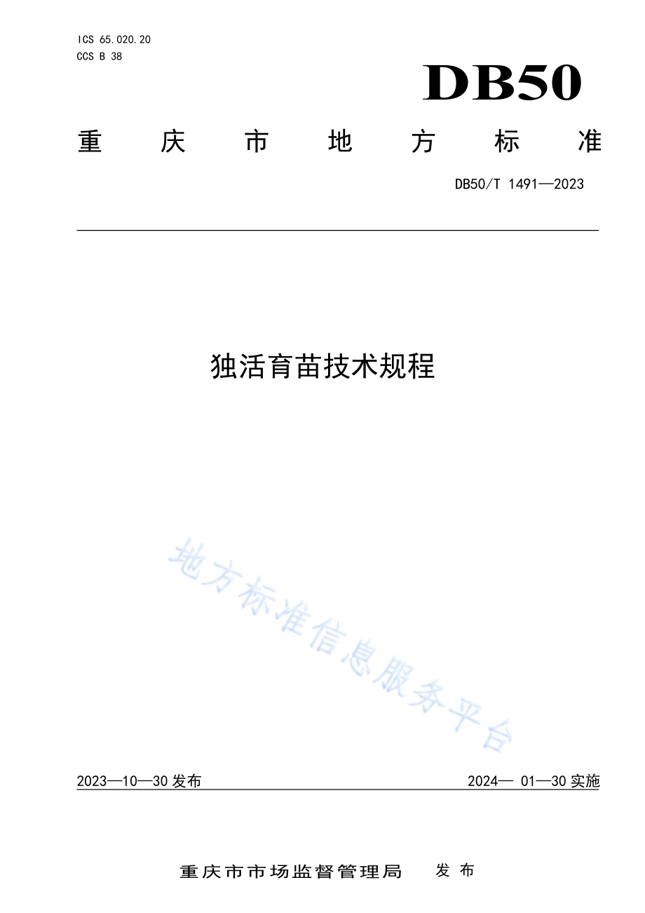 独活育苗技术规程DB50／T 1491-2023.pdf_第1页