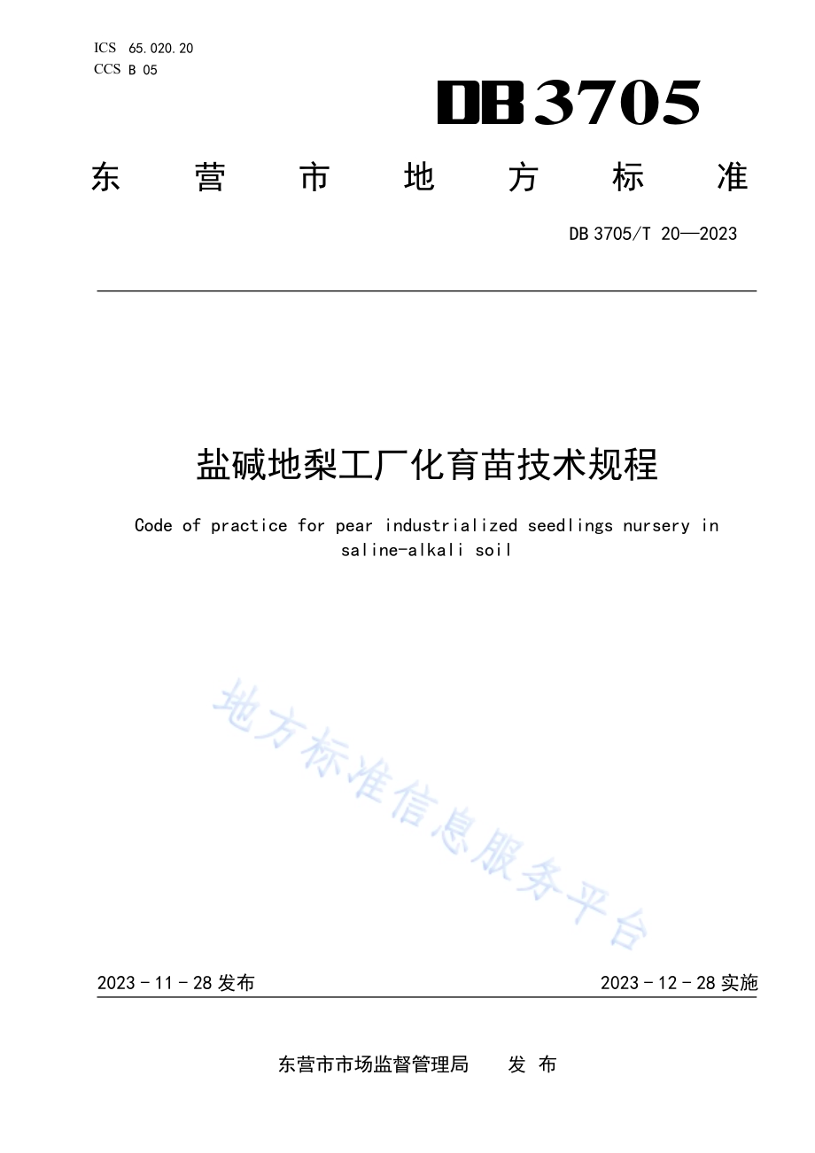盐碱地梨工厂化育苗技术规程DB 3705／T 20-2023.pdf_第1页
