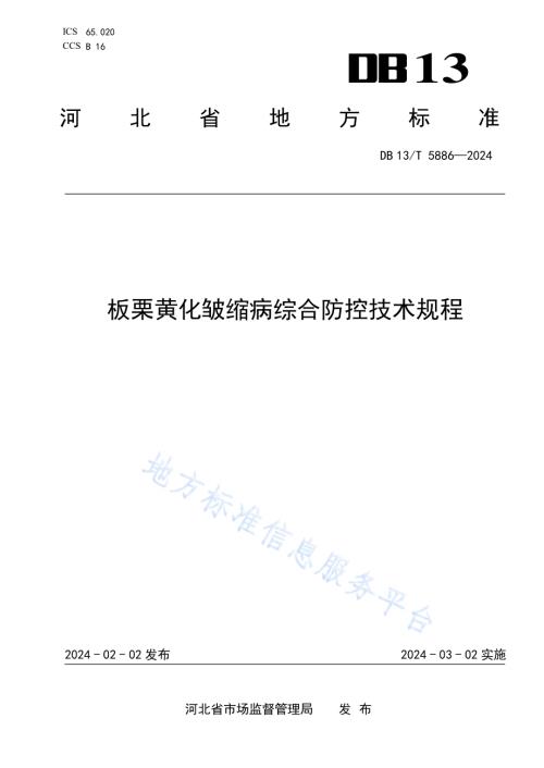 板栗黄化皱缩病综合防控技术规程DB13／T 5886—2024.pdf
