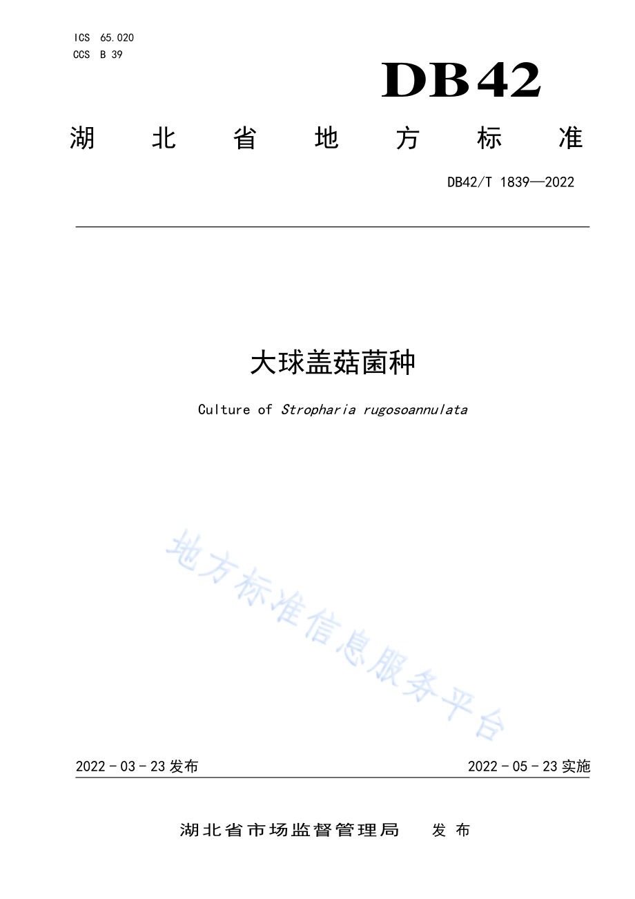 大球盖菇菌种DB42／T 1839-2022.pdf_第1页