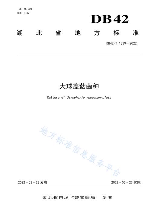 大球盖菇菌种DB42／T 1839-2022.pdf