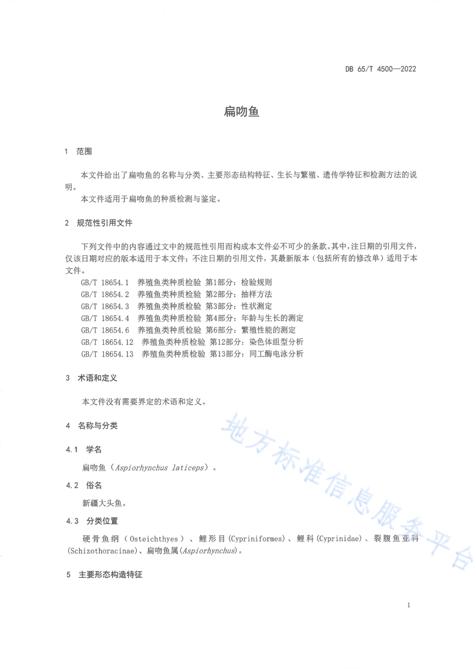 扁吻鱼DB65／T 4500-2022.pdf_第5页