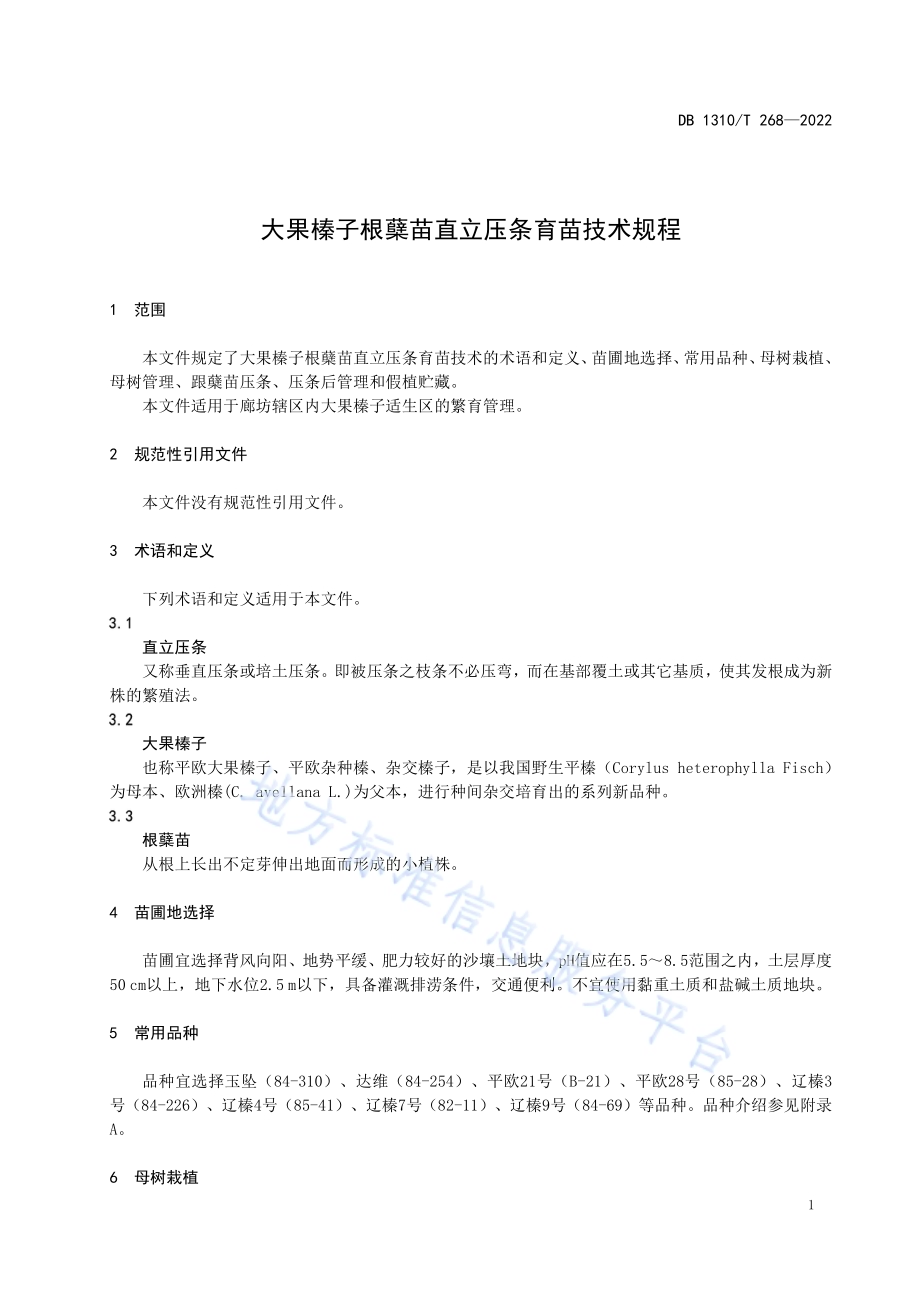 大果榛子根蘖苗直立压条育苗技术规程DB1310／T 268-2022.pdf_第3页