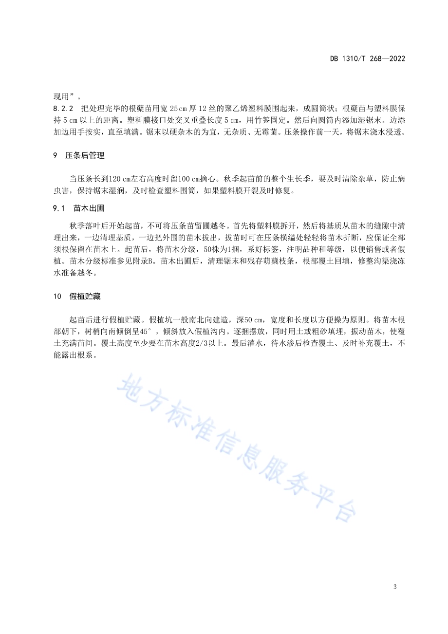 大果榛子根蘖苗直立压条育苗技术规程DB1310／T 268-2022.pdf_第5页