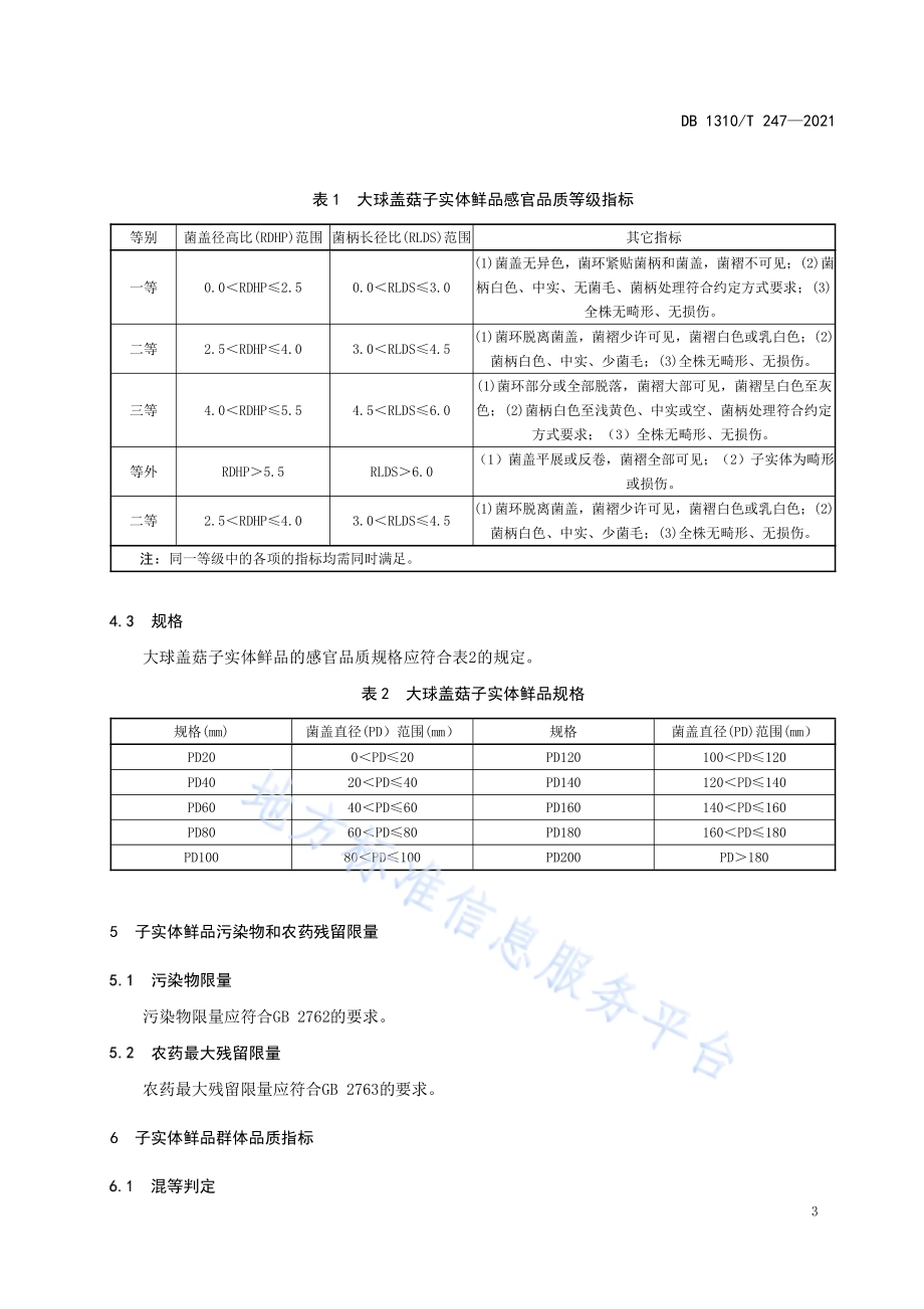 大球盖菇鲜品的等级规格DB1310／T 247—2021.pdf_第5页