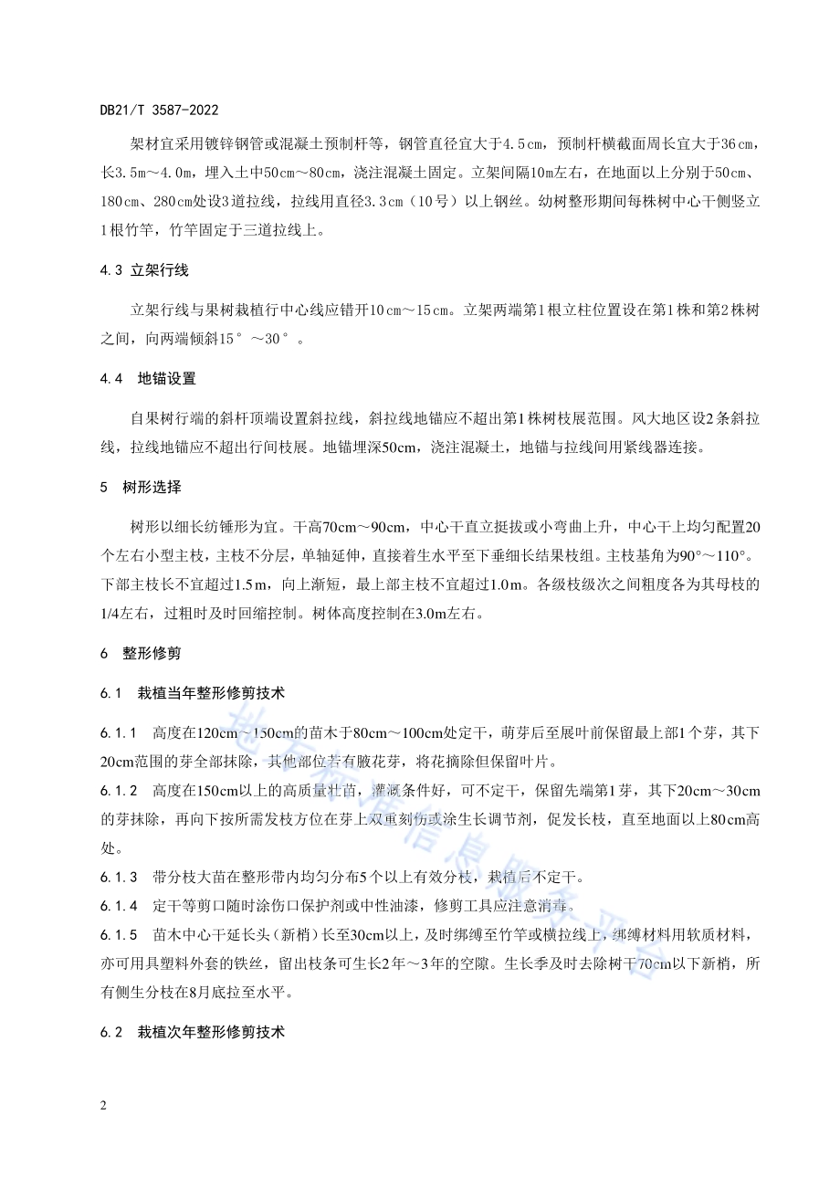 矮砧苹果立架栽植整形修剪技术规程DB21／T 3587-2022.pdf_第5页