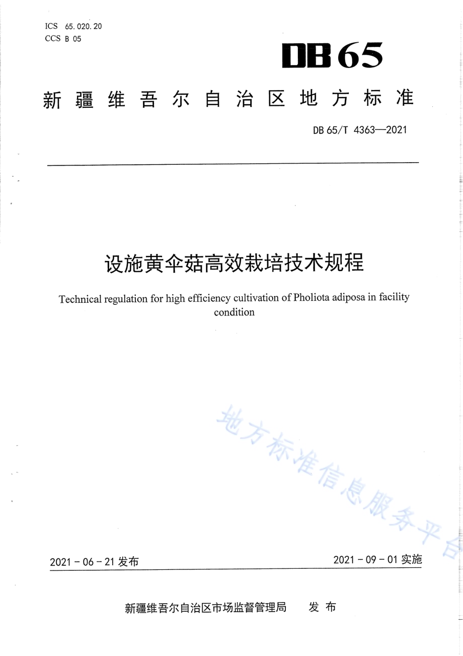 设施黄伞菇高效栽培技术规程DB65／T 4363-2021.pdf_第1页