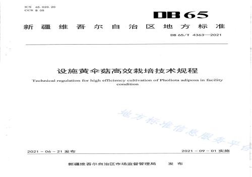 设施黄伞菇高效栽培技术规程DB65／T 4363-2021.pdf