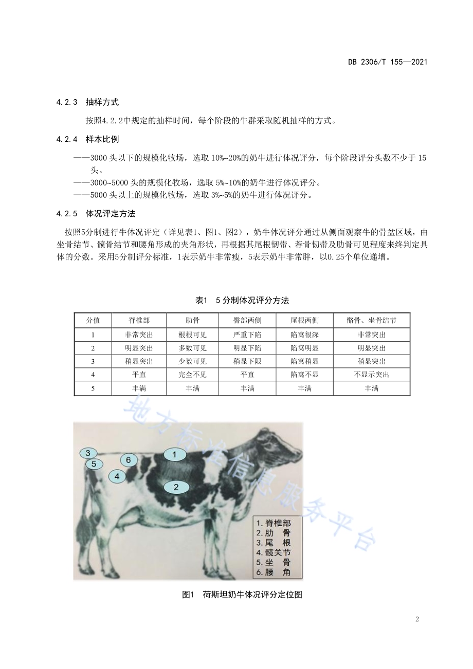 规模化牧场泌乳奶牛群体体况管理技术规程DB2306／T 155-2021.pdf_第4页