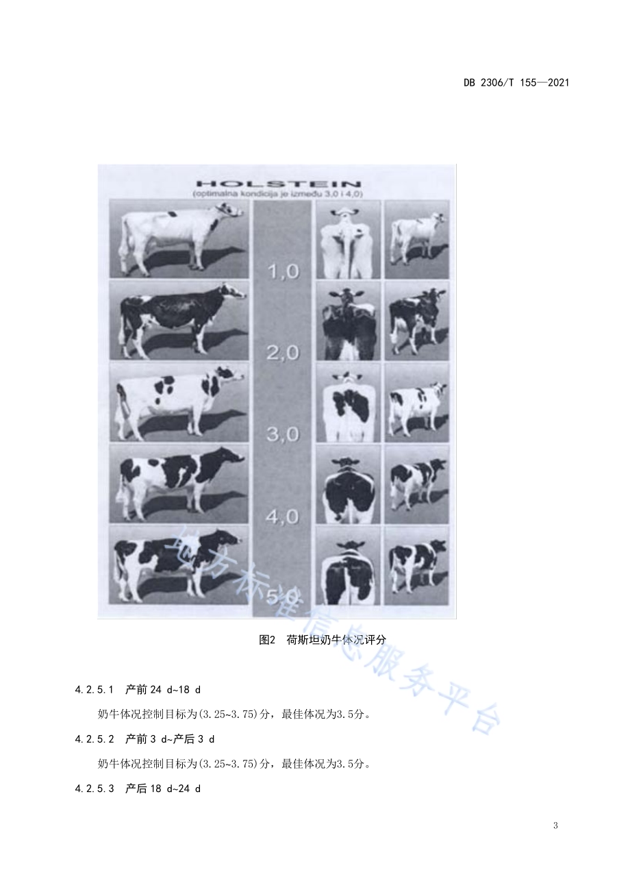 规模化牧场泌乳奶牛群体体况管理技术规程DB2306／T 155-2021.pdf_第5页