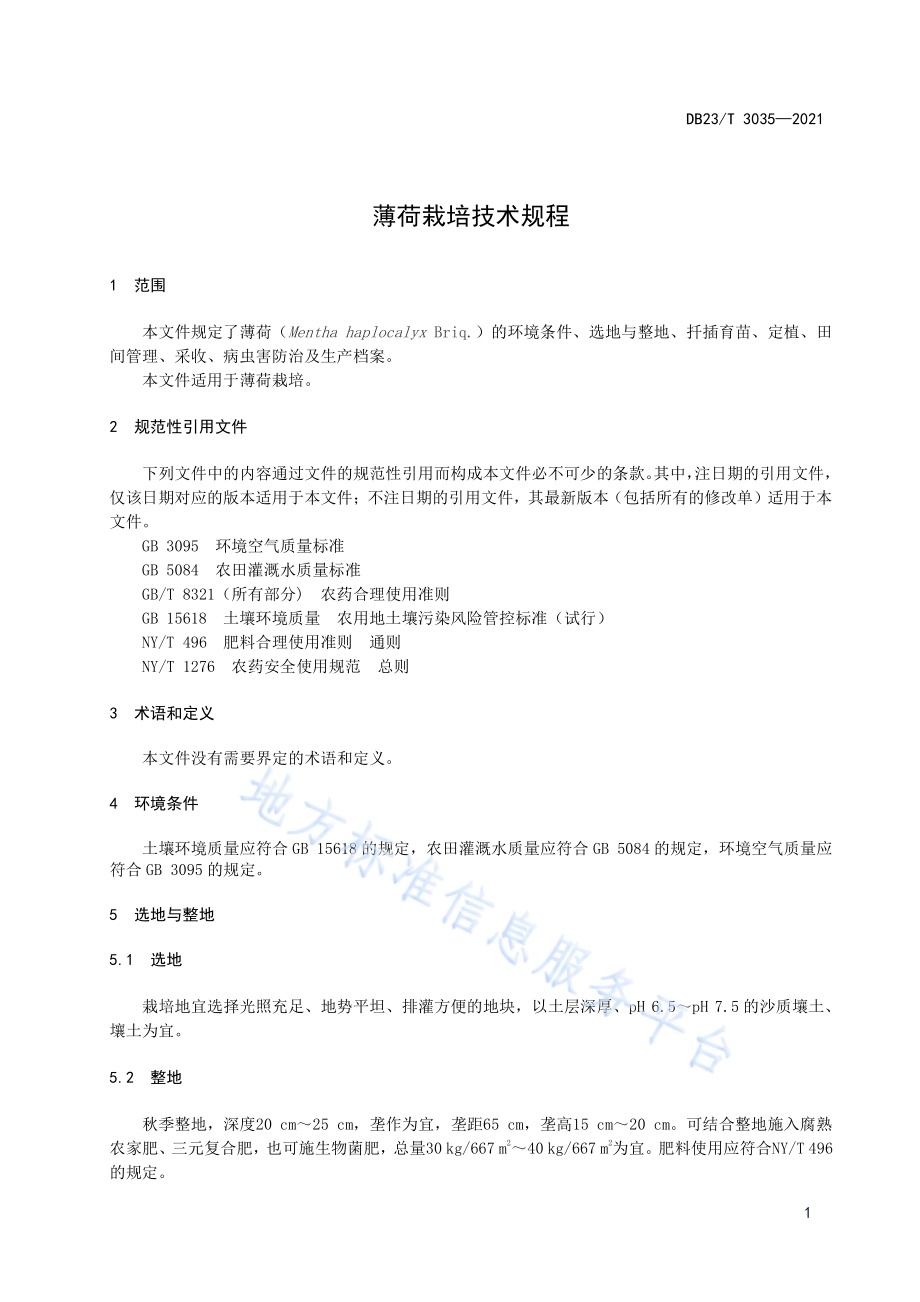 薄荷栽培技术规程DB23／T 3035-2021.pdf_第3页