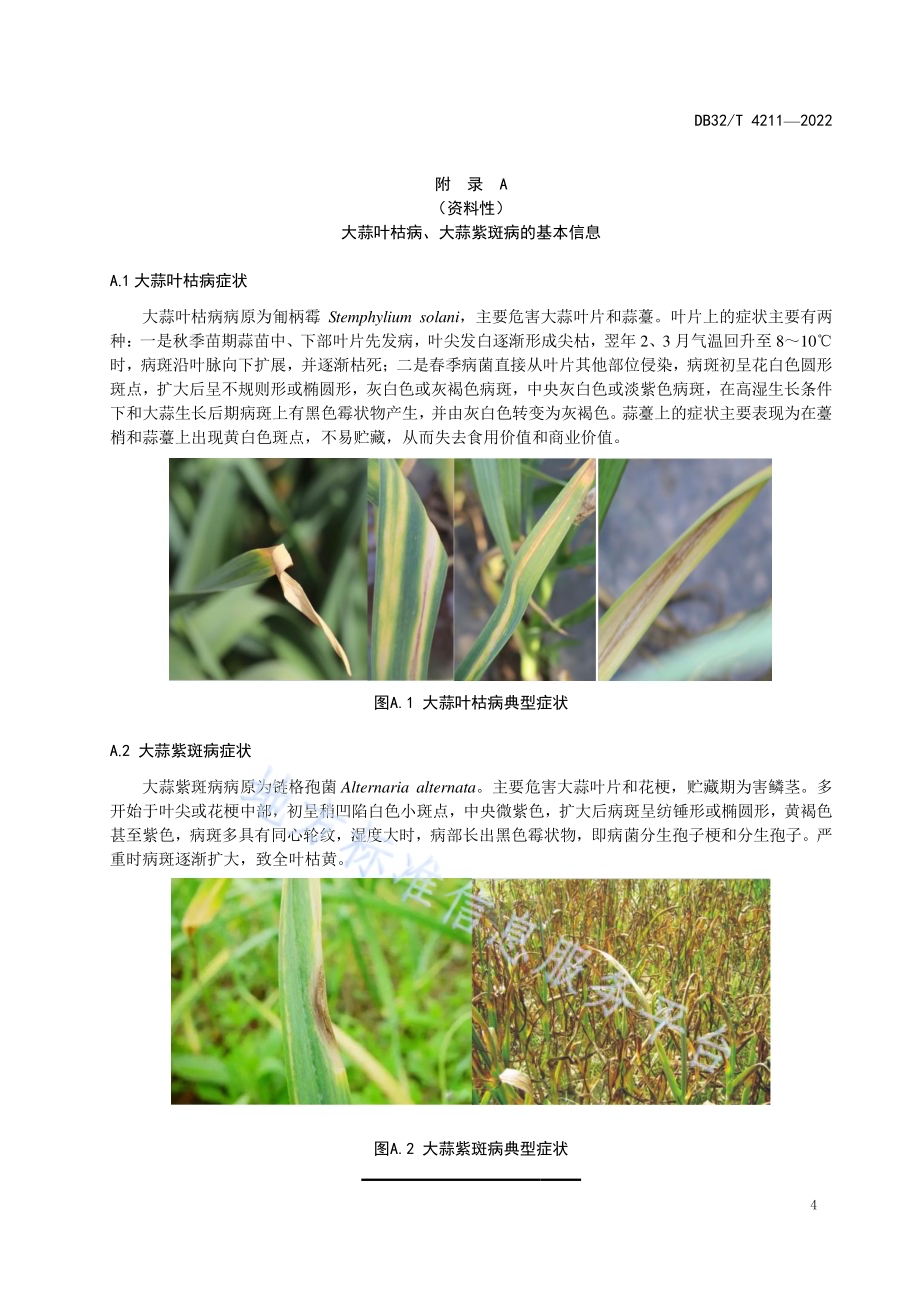 大蒜叶枯病和紫斑病防治技术规程DB32／T 4211-2022.pdf_第5页
