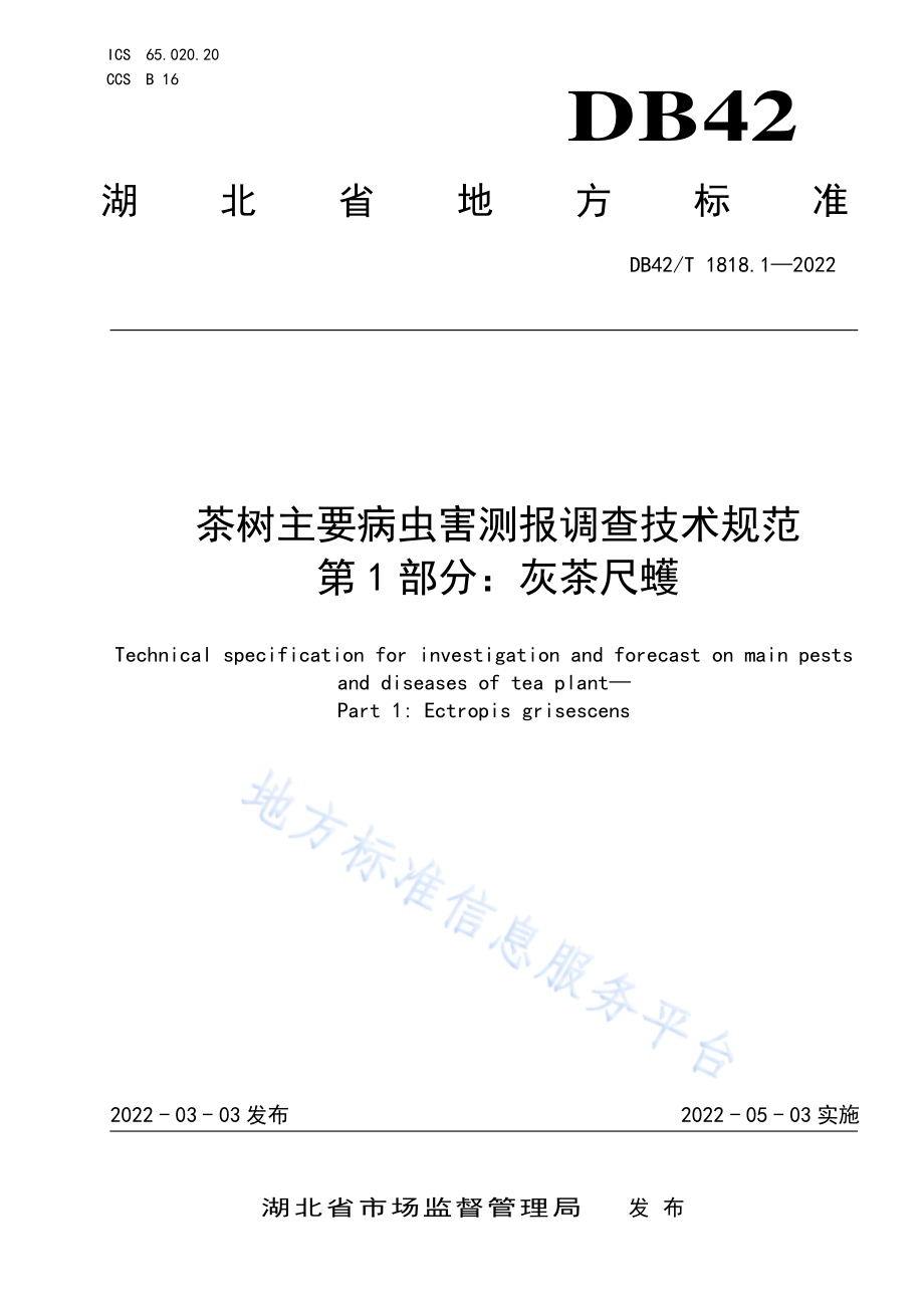 茶树主要病虫害测报调查技术规范 第1部分：灰茶尺蠖DB42／T1818.1-2022.pdf_第1页
