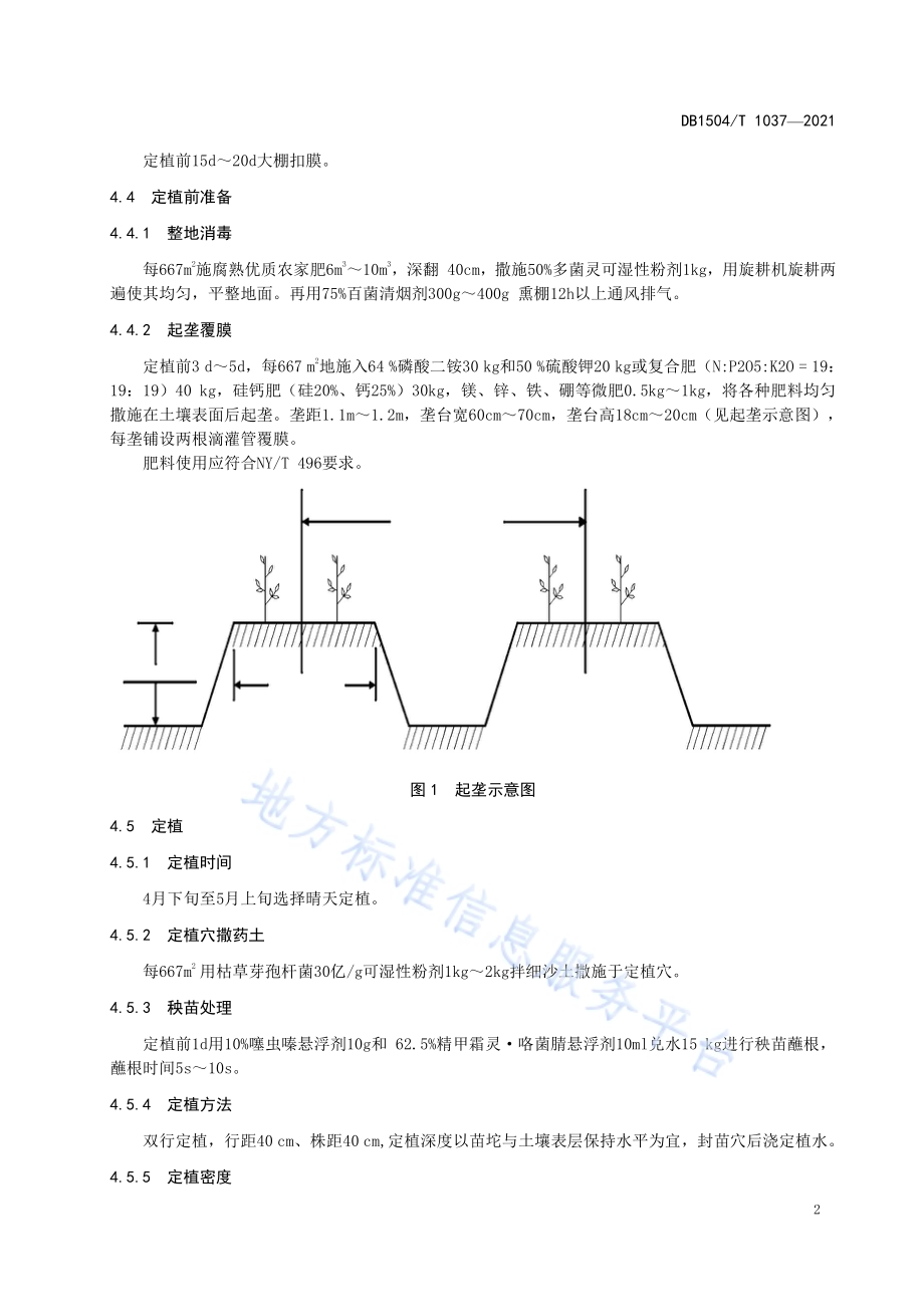 大棚越夏茬甜椒栽培技术规程DB 1504／T1037-2021.pdf_第4页