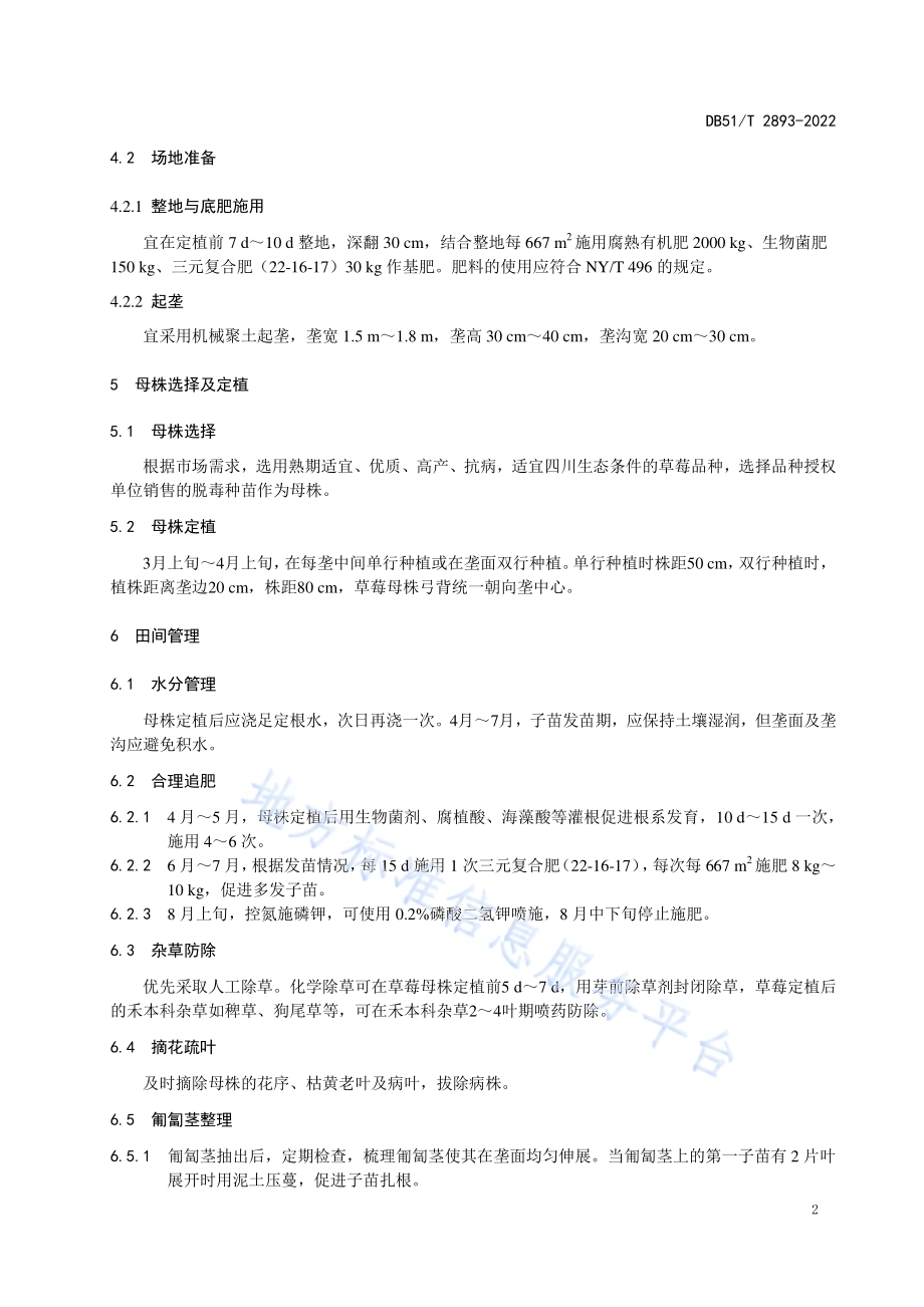 草莓种苗繁育技术规程DB51／T 2893-2022.pdf_第5页