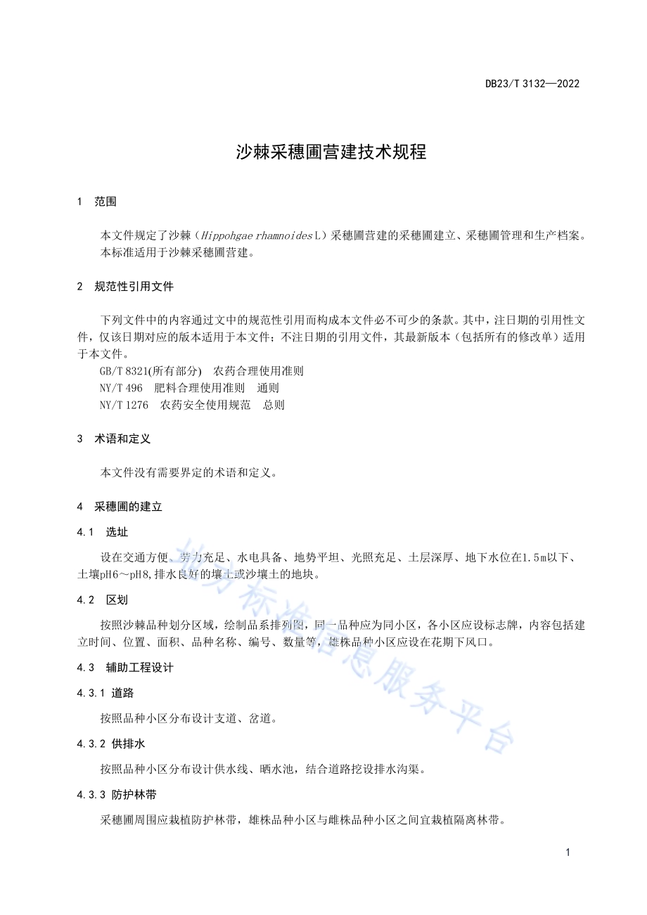 沙棘采穗圃营建技术规程DB23／T 3132—2022.pdf_第3页
