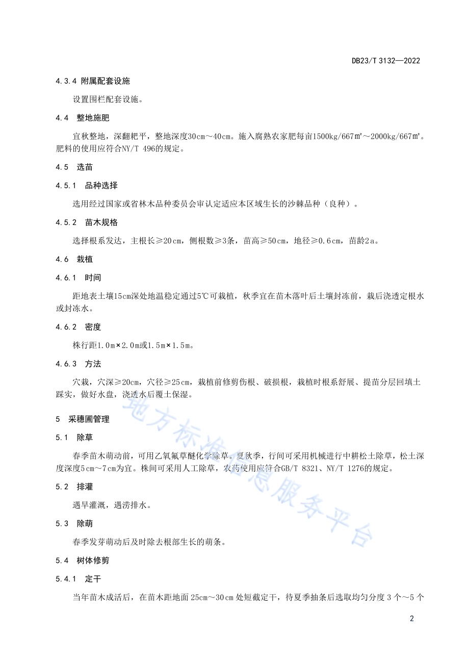 沙棘采穗圃营建技术规程DB23／T 3132—2022.pdf_第4页