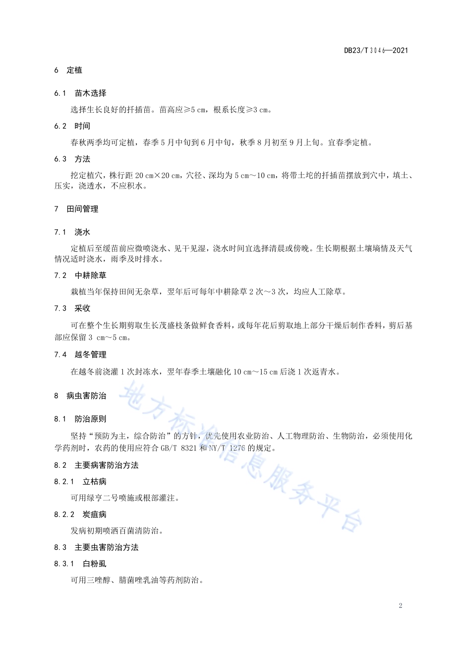 沙化黑土香料用百里香栽培技术规程DB23／T 3046-2021.pdf_第4页