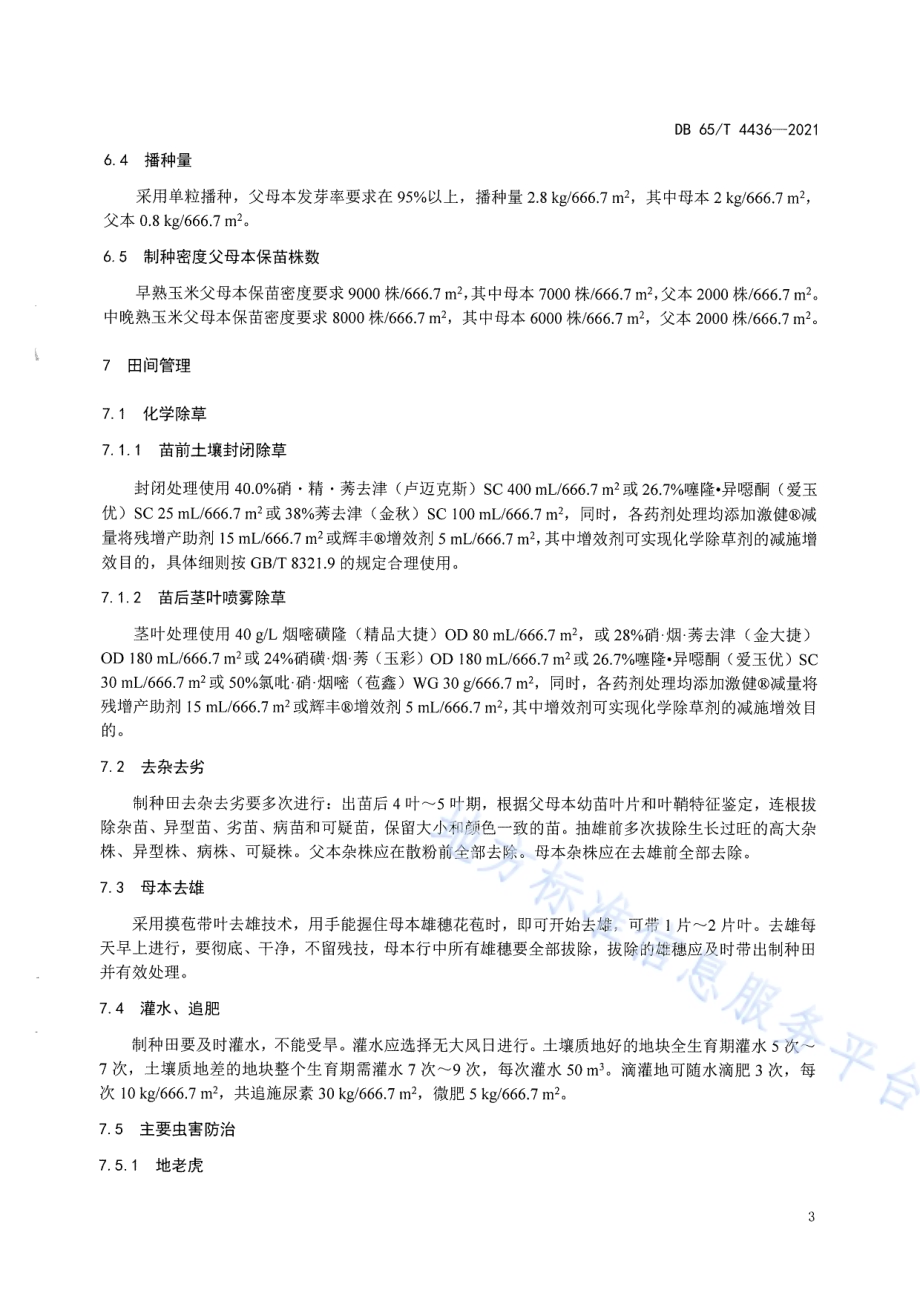 北疆制种区玉米高活力杂交种子生产技术规程DB65／T 4436-2021.pdf_第5页