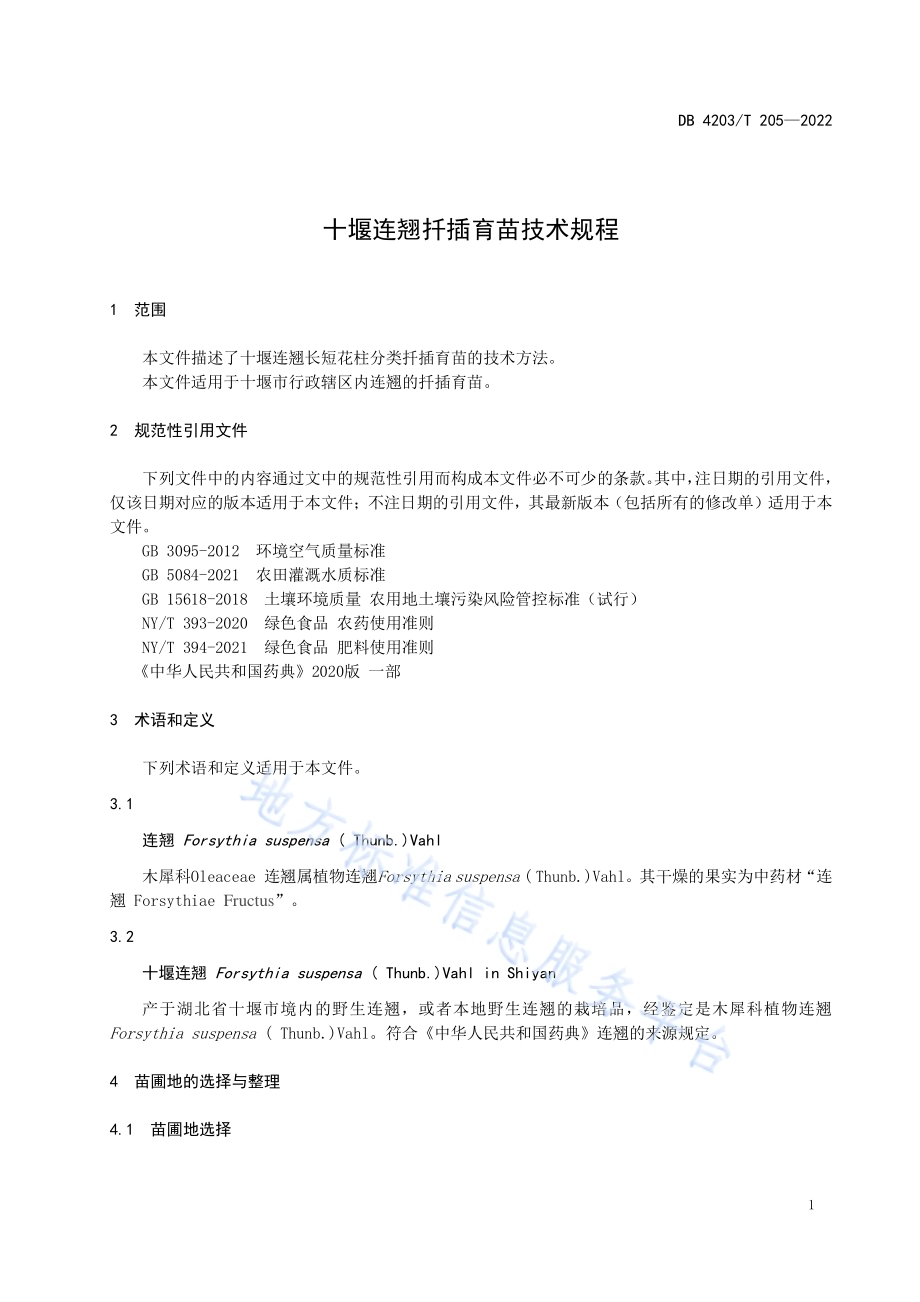 十堰连翘扦插育苗技术规程DB4203／T 205-2022.pdf_第3页