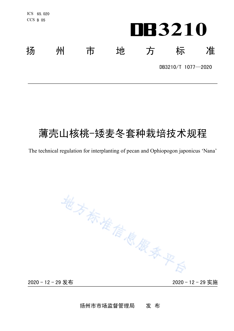 薄壳山核桃-矮麦冬套种栽培技术规程DB3210／T 1077-2020.pdf_第1页