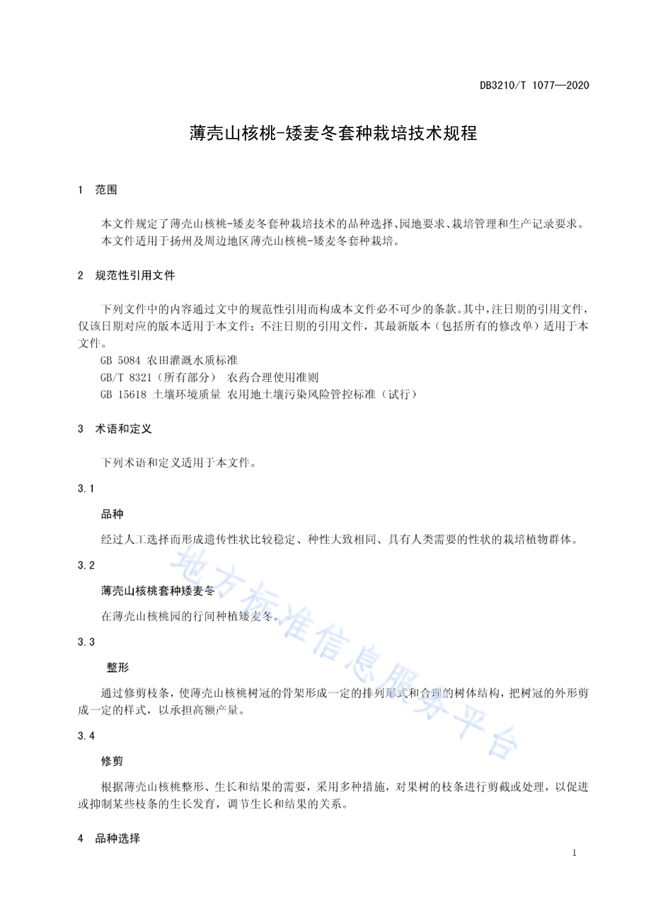 薄壳山核桃-矮麦冬套种栽培技术规程DB3210／T 1077-2020.pdf_第3页