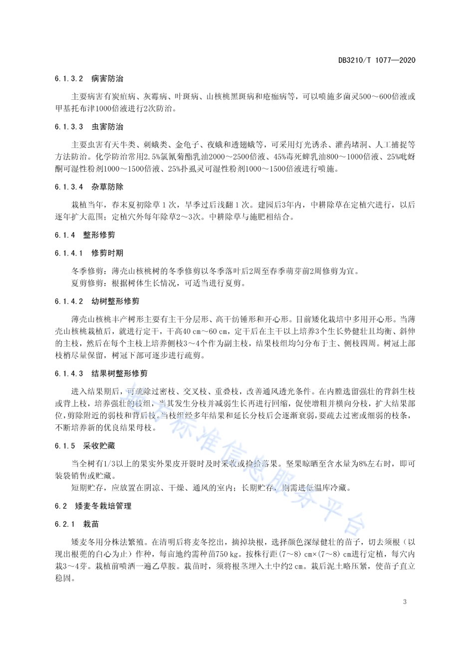 薄壳山核桃-矮麦冬套种栽培技术规程DB3210／T 1077-2020.pdf_第5页