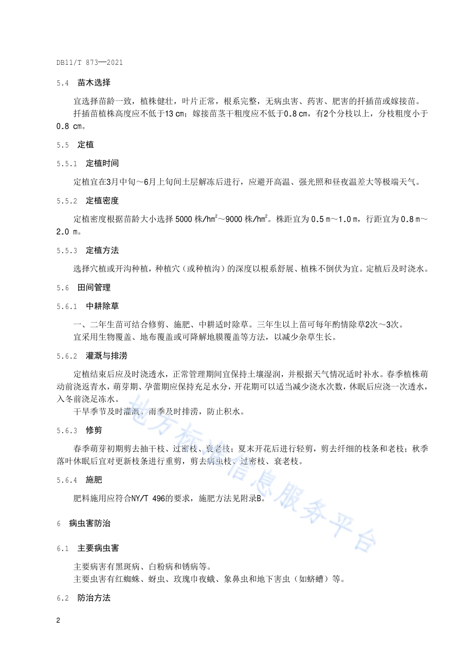 食用玫瑰花生产技术规程DB11／T 873-2021.pdf_第5页