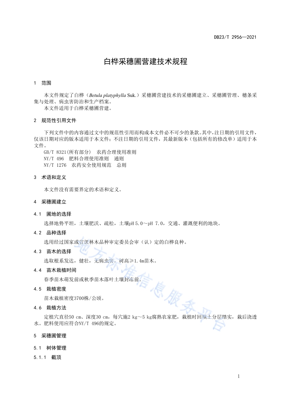 白桦采穗圃营建技术规程DB23／T 2956—2021.pdf_第3页